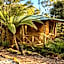 Cradle forest inn