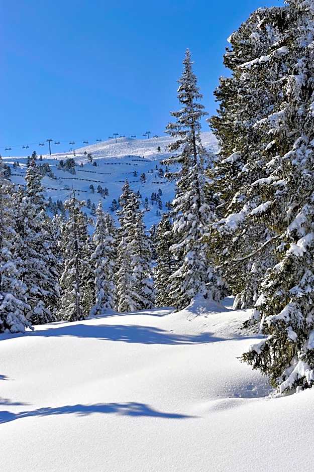 SCOL Sporthotel Zillertal