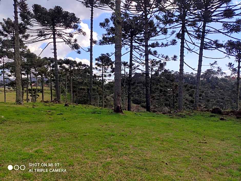 Chalé das Araucárias