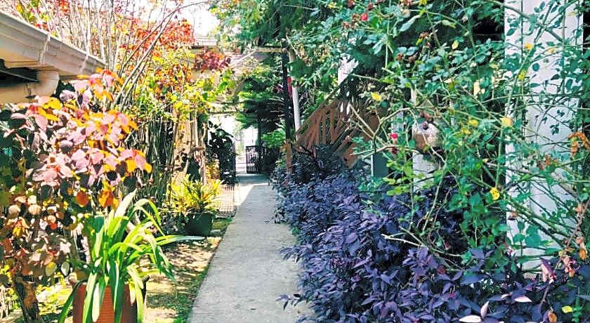 Nabalu Kundasang Lodge