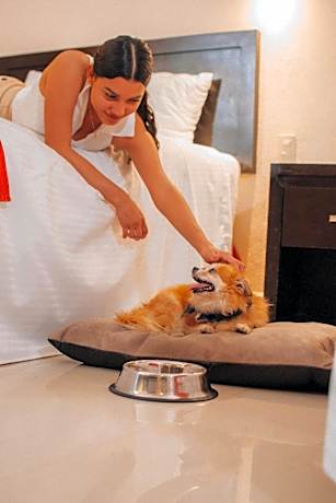 Double Room with Two Double Beds