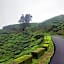 Ibex Resorts, Valparai Mistly