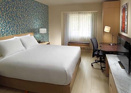 Superior Room 1 King