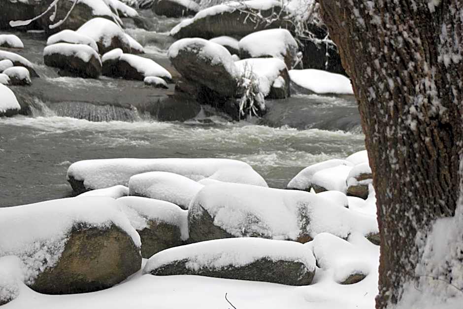 The Evening Shade River Lodge and Cabins