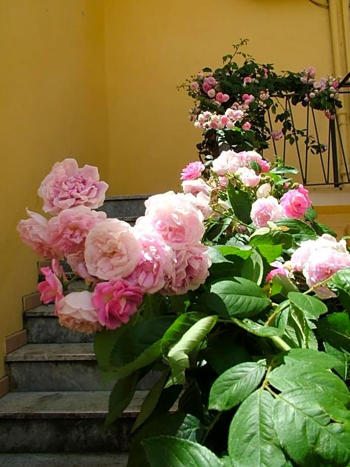 B&B Maison Rosetta IUN-E4948