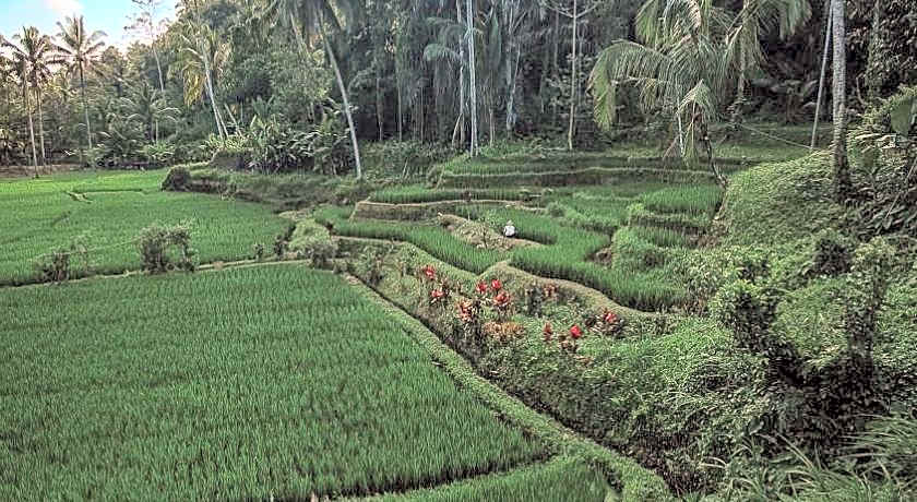 Tirta Sari