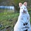 Bruny Island Holiday Park