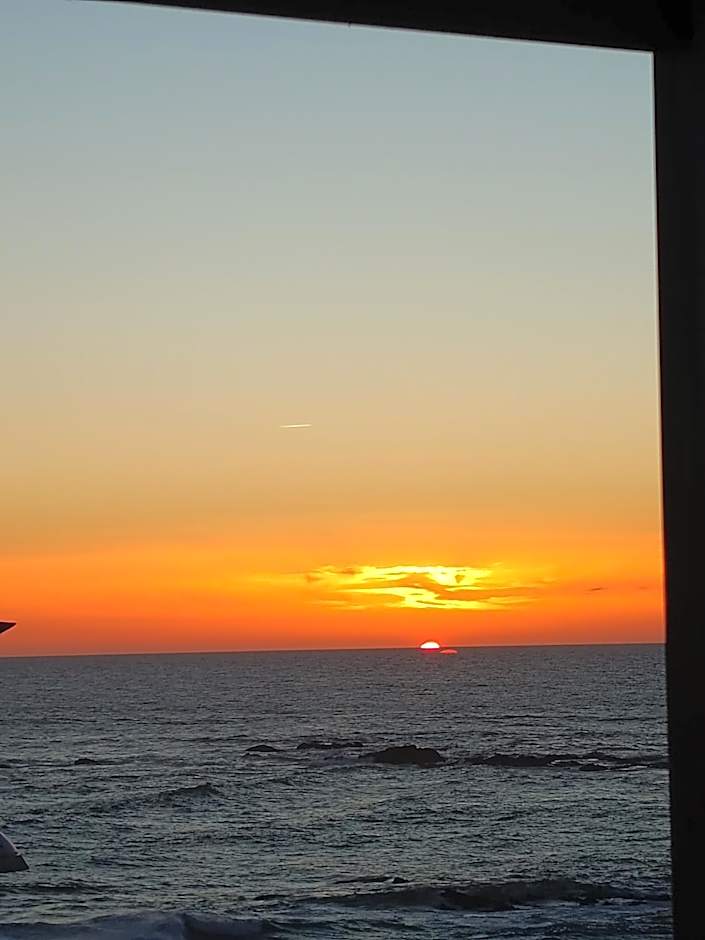 Cachinnans Hostel & Apartments