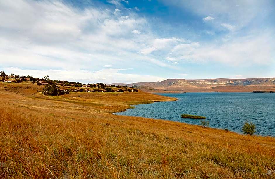 First Group Qwantani