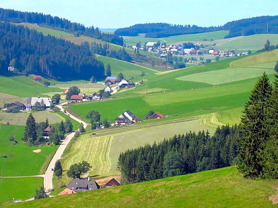 ZUR TRAUBE Schwarzwaldhotel & Restaurant am Titisee