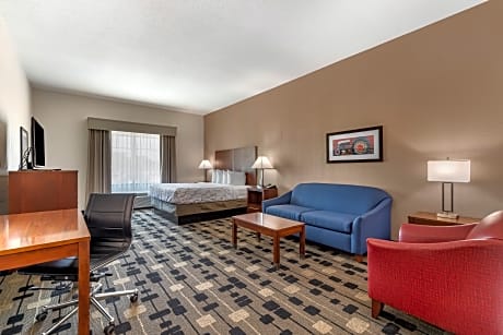 Accessible - 1 King, Mobility Accessible, Communication Assistance, Bathtub, Non-Smoking, Full Break