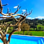 B&B VILLA GINEVRA