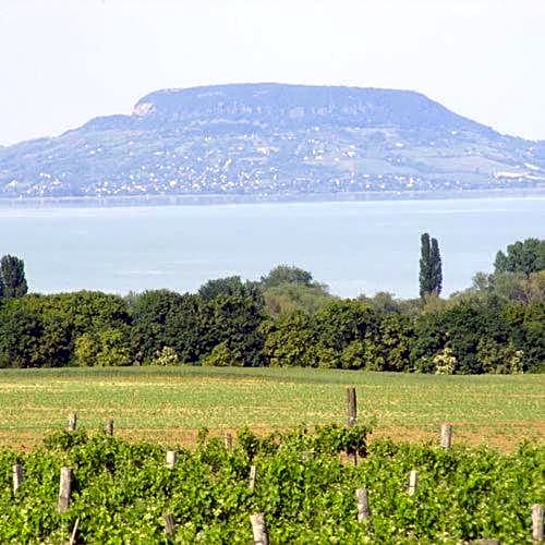 Viktor Bor- és Vendégház****