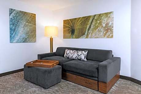 Queen Studio with Sofa Bed and Adapted Tub - Mobility and Hearing Accessible