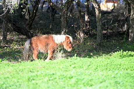Quinta Da Samoqueirinha