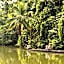 Coconut Lagoon Kumarakom- A CGH Earth Experience