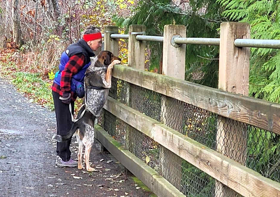 Cycle Inn Bed and Breakfast