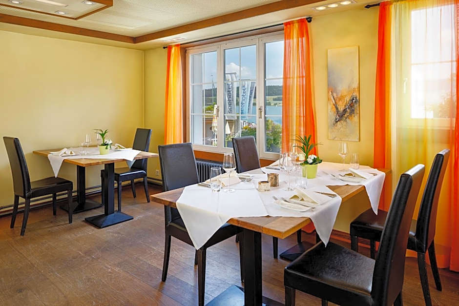 Seehotel Beinwil am See