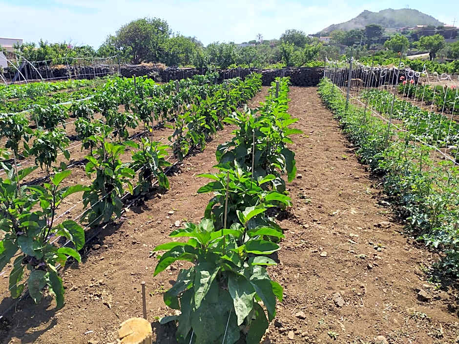 Agriturismo Hibiscus