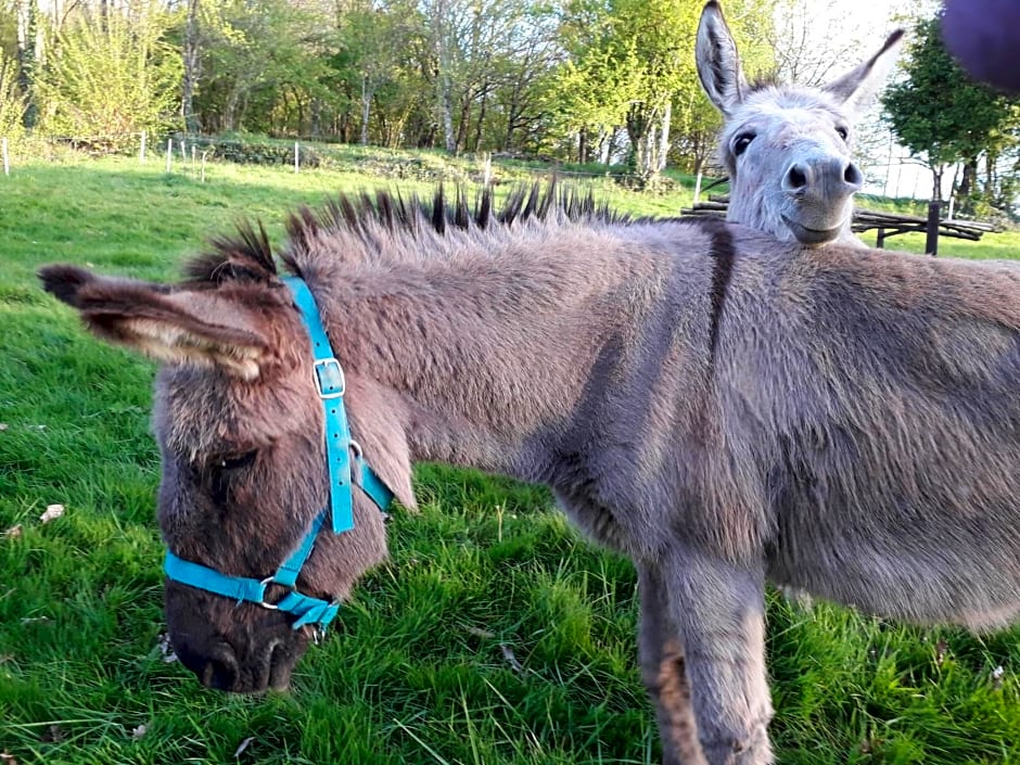 DUC MANOIR Chambres d'hôtes