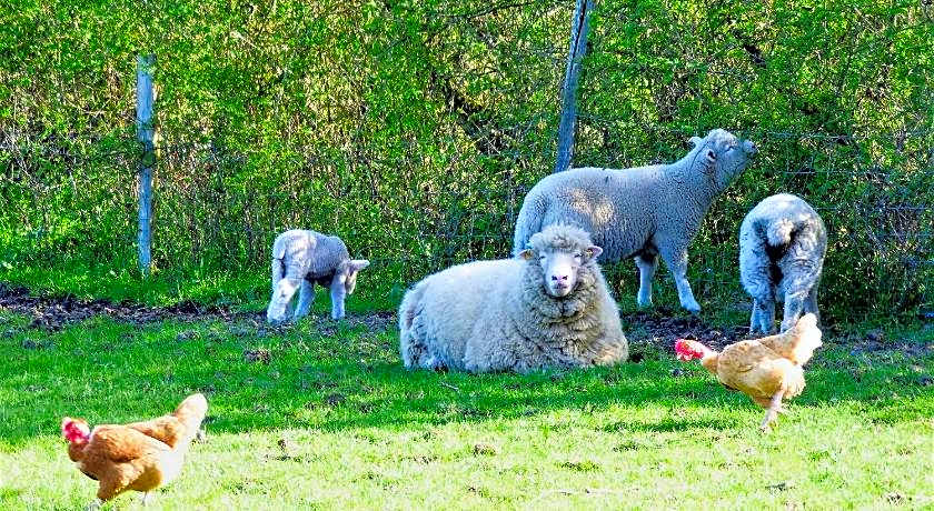 L'Ancien Presbytere Chambres D'hote ou Gite