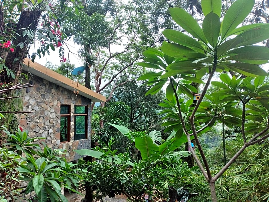 Casa Musgo