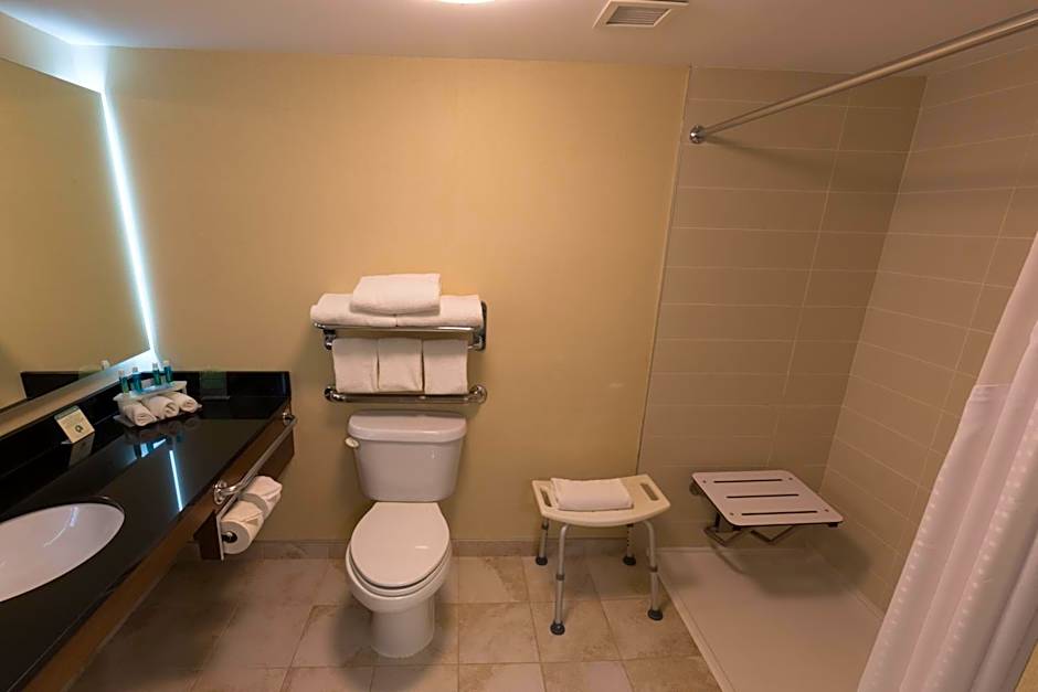 Photo 1 of 4 of Standard 1 King Bed, Mobility Accessible, Roll in Shower