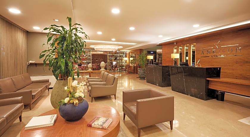 Anemon Ankara