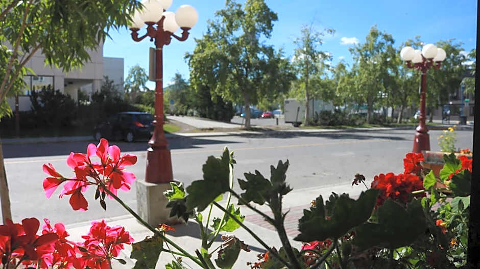 Elite Hotel -Downtown Center- "Ski & Northern light Tour" "Hot Spring Tour "Long-term stay"