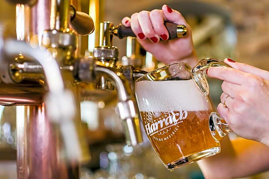 Hotel Jelínkova vila