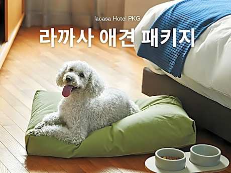 Deluxe Twin Room - Pet-Friendly