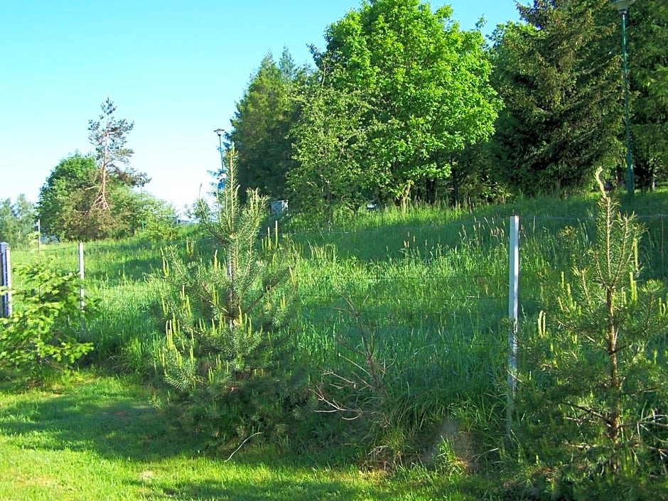 Domek kampingowy letniskowy Zdrój