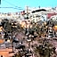 Jacaranda