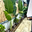 Friends of Koh Samui 1