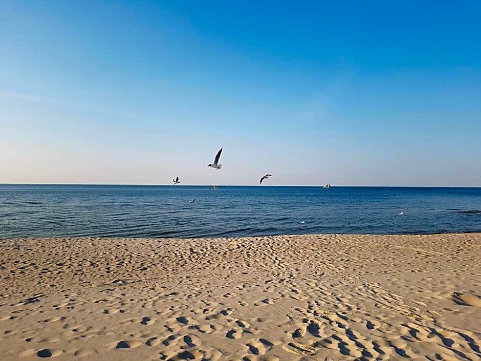 Pokoje gościnne MOTYLEK