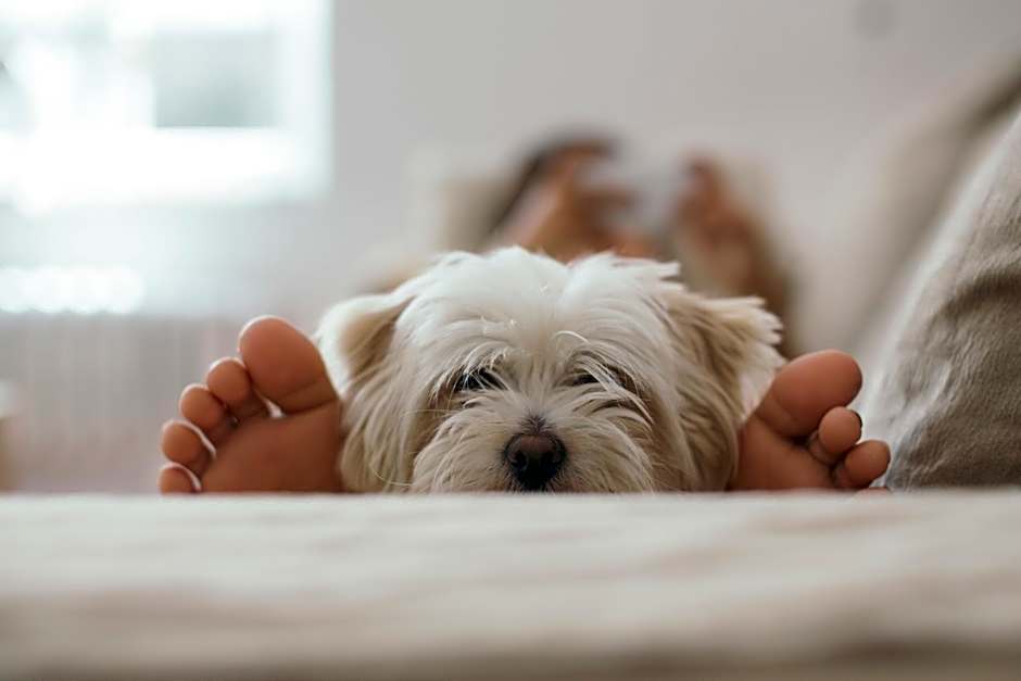 Candlewood Suites Santa Maria By IHG