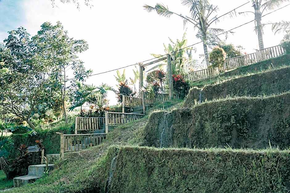 Padi Bali Jatiluwih