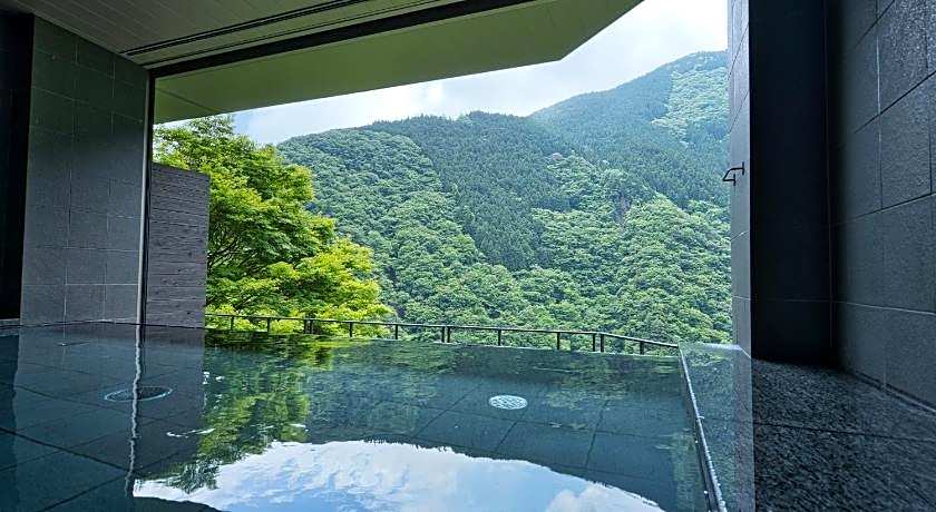 Wanoyado Hotel Iya Onsen Natural Hot Spring