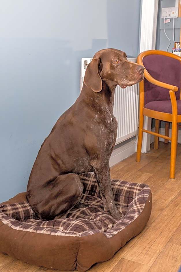 The Farmers Boy Inn Guest House