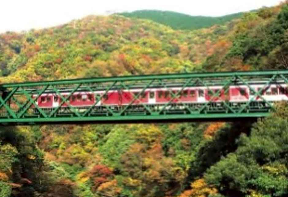 SyunkaSyuutou - Vacation STAY 53627v