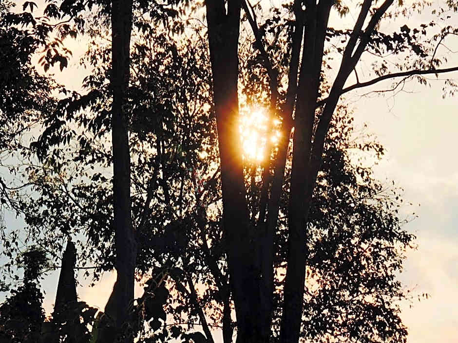 Khaoyai Nature Retreat