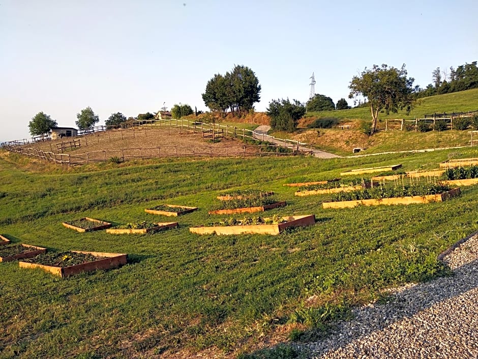 Tenuta i musi lunghi