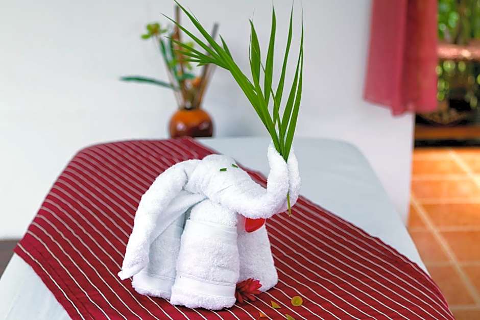 Hotel Mountain Paradise