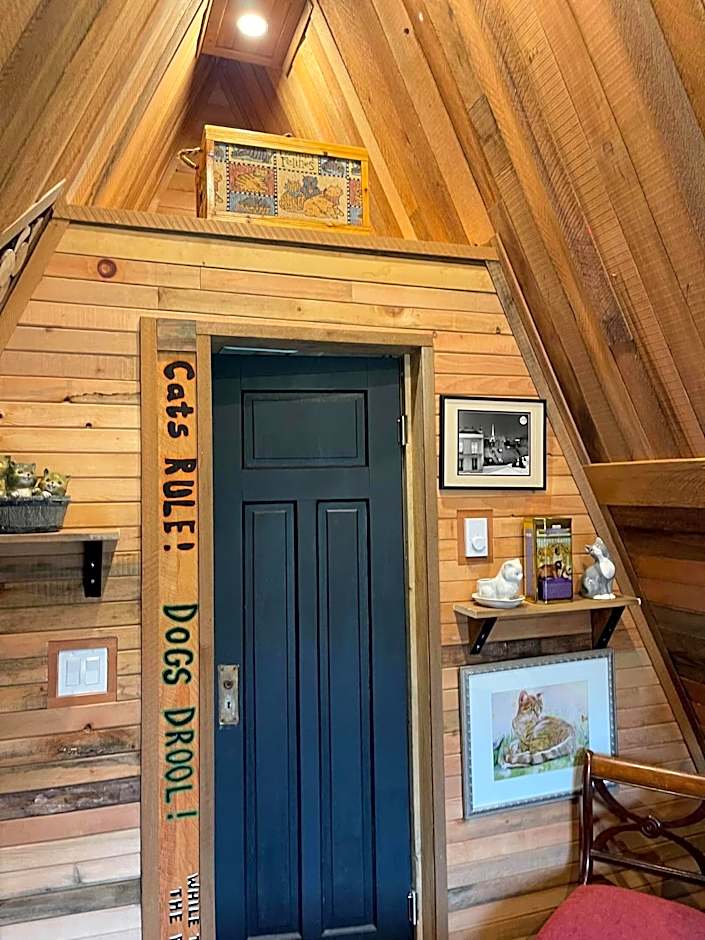 Shannaghs Sweet Escape