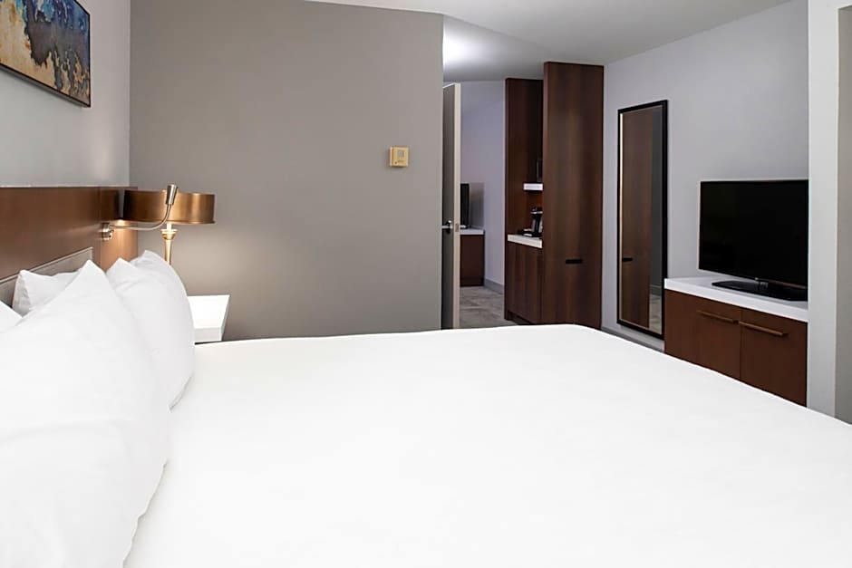 Hilton Garden Inn Baton Rouge Airport