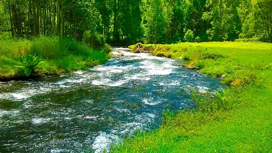 Ranges View Lodge - Aberdare Safari in Murang'a