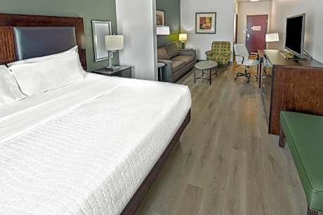 King Suite with Bath Tub and Sofa Bed - Disability Access/Non-Smoking
