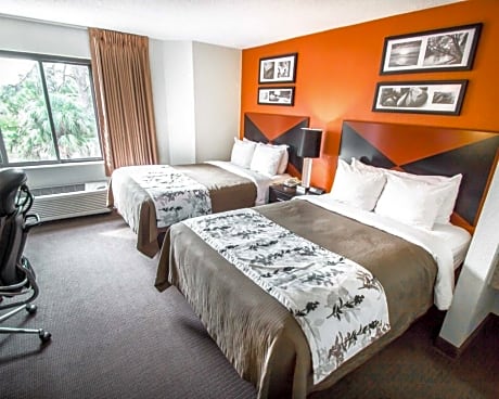 Double with 2 Double Beds - Non-Smoking