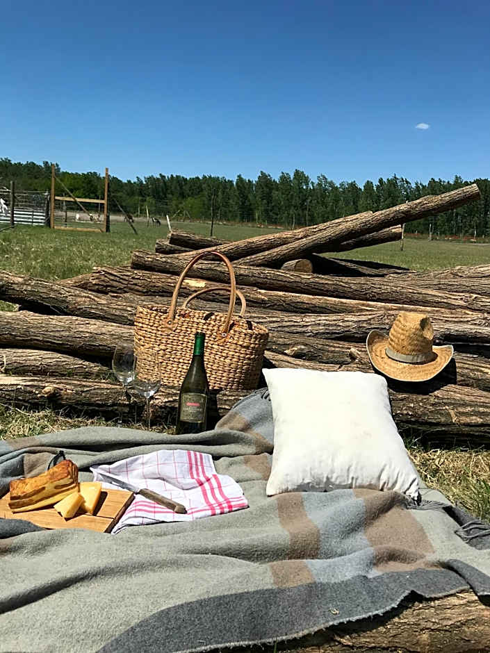 Tornácos Tanya Vendégház*** és Gasztroporta