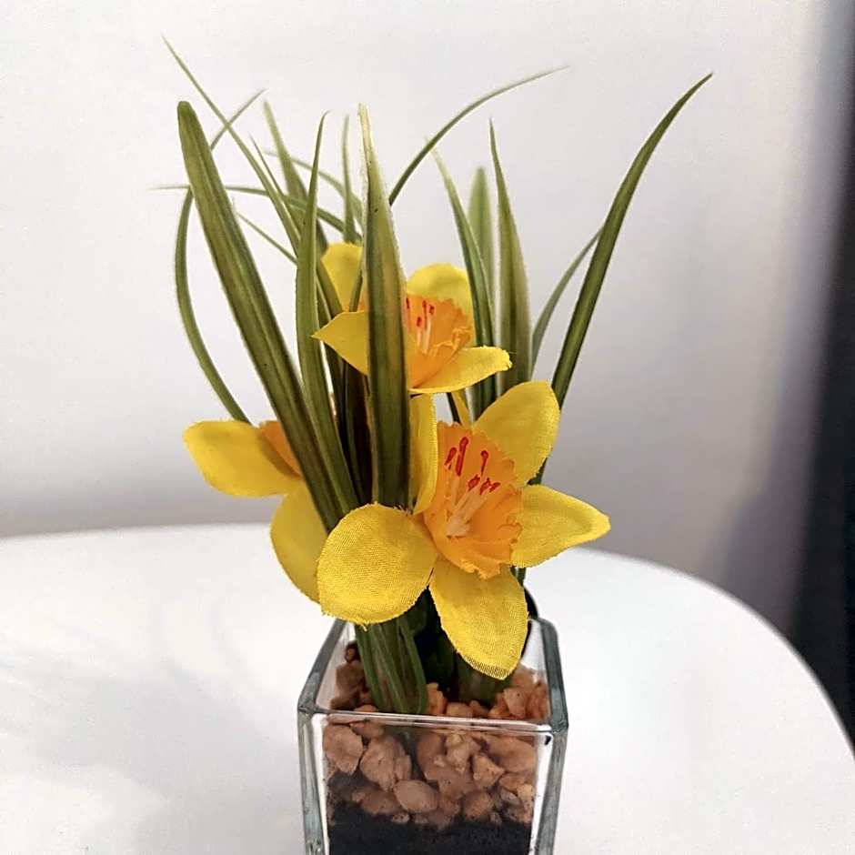 Hotel 24 Silonce Gruppe stilvolles Hotel im Kreis Olpe Parkplatz & Qualität